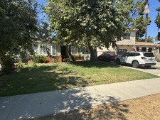 Miami Houses