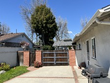 Enlarge photo 35