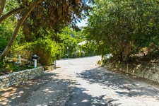 Enlarge photo 73