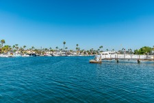 Enlarge photo 46