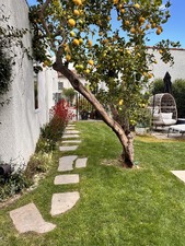 Enlarge photo 55