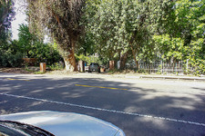Enlarge photo 69