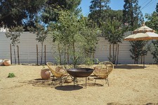 Enlarge photo 51
