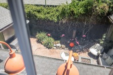 Enlarge photo 48