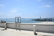 Enlarge photo 57