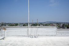 Enlarge photo 63