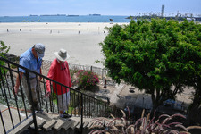 Enlarge photo 81
