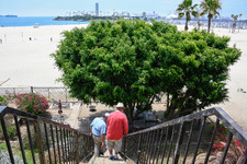 Enlarge photo 82