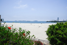 Enlarge photo 83