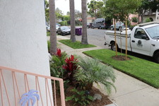 Enlarge photo 2