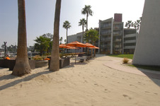Enlarge photo 31