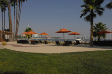 Enlarge photo 35