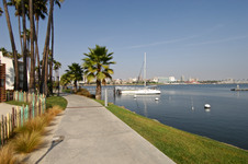 Enlarge photo 51