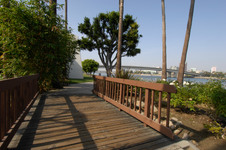 Enlarge photo 55
