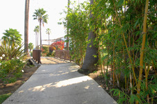 Enlarge photo 56