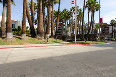 Enlarge photo 57