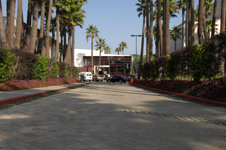 Enlarge photo 58