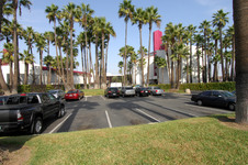 Enlarge photo 60