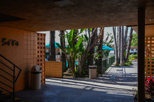 Enlarge photo 42