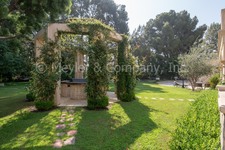 Enlarge photo 78