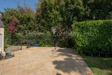 Enlarge photo 83
