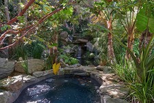 Enlarge photo 145