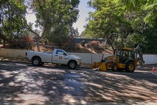 Enlarge photo 153