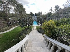 Enlarge photo 175