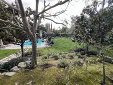 Enlarge photo 176