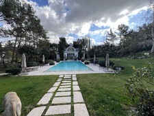 Enlarge photo 177