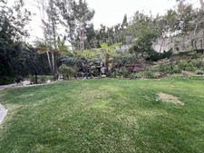 Enlarge photo 180