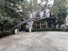 Enlarge photo 195