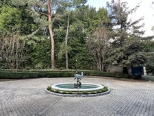 Enlarge photo 197