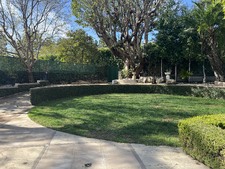 Enlarge photo 79