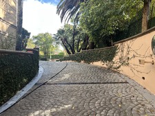 Enlarge photo 91