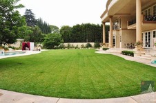Enlarge photo 90