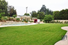 Enlarge photo 91