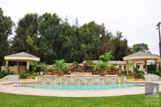 Enlarge photo 80