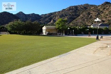 Enlarge photo 35