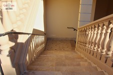Enlarge photo 63