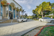 Enlarge photo 126