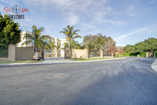 Enlarge photo 135