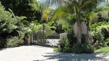 Enlarge photo 97