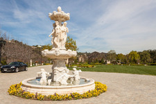 Enlarge photo 89
