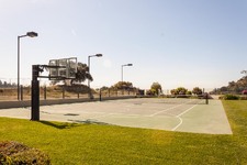 Enlarge photo 98