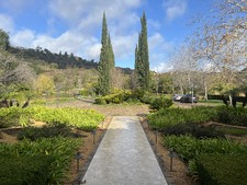 Enlarge photo 7