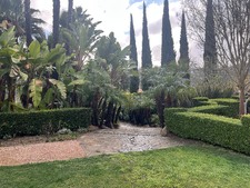 Enlarge photo 42