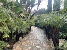 Enlarge photo 44