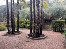 Enlarge photo 81
