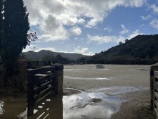 Enlarge photo 91